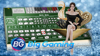 Big Gaming Casino